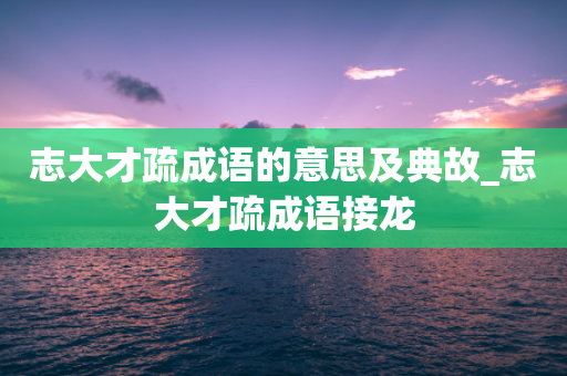 志大才疏成语的意思及典故_志大才疏成语接龙