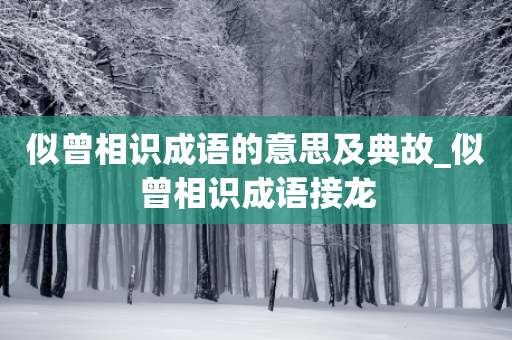 似曾相识成语的意思及典故_似曾相识成语接龙