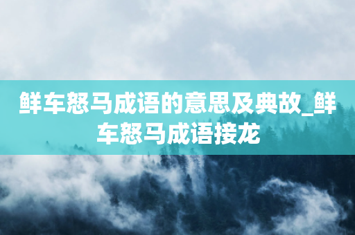 鲜车怒马成语的意思及典故_鲜车怒马成语接龙