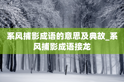 系风捕影成语的意思及典故_系风捕影成语接龙