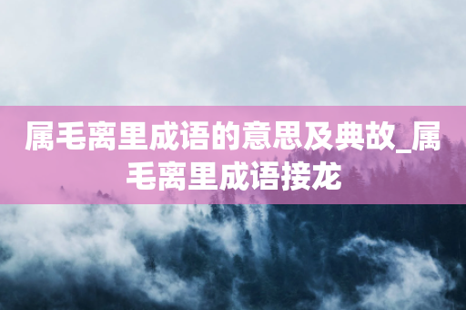 属毛离里成语的意思及典故_属毛离里成语接龙