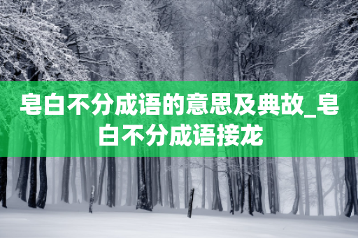 皂白不分成语的意思及典故_皂白不分成语接龙