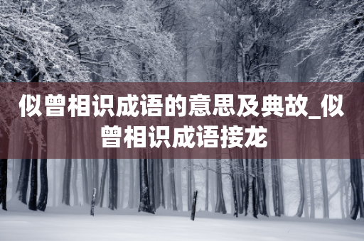 似曾相识成语的意思及典故_似曾相识成语接龙